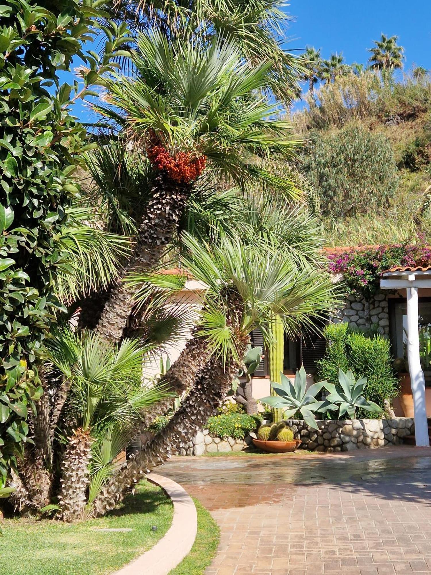 Hotel Villaggio Cala Di Volpe Capo Vaticano Eksteriør billede
