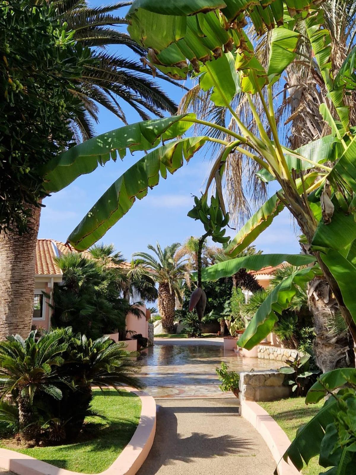 Hotel Villaggio Cala Di Volpe Capo Vaticano Eksteriør billede